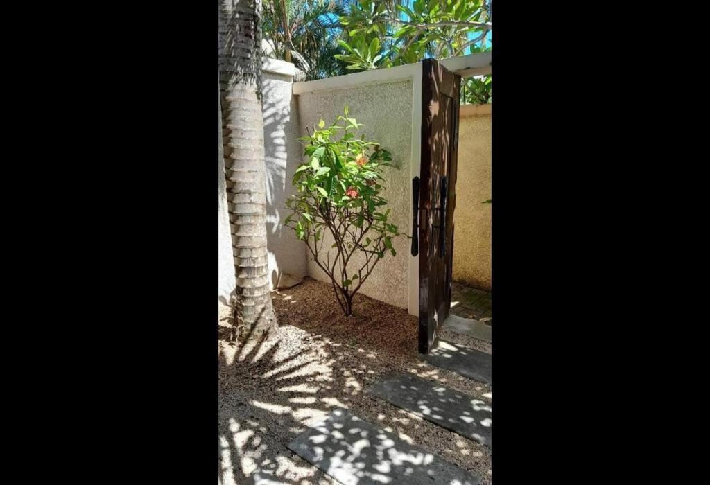 Oasis 1 Villa Tropicale Grand Baie Extérieur photo