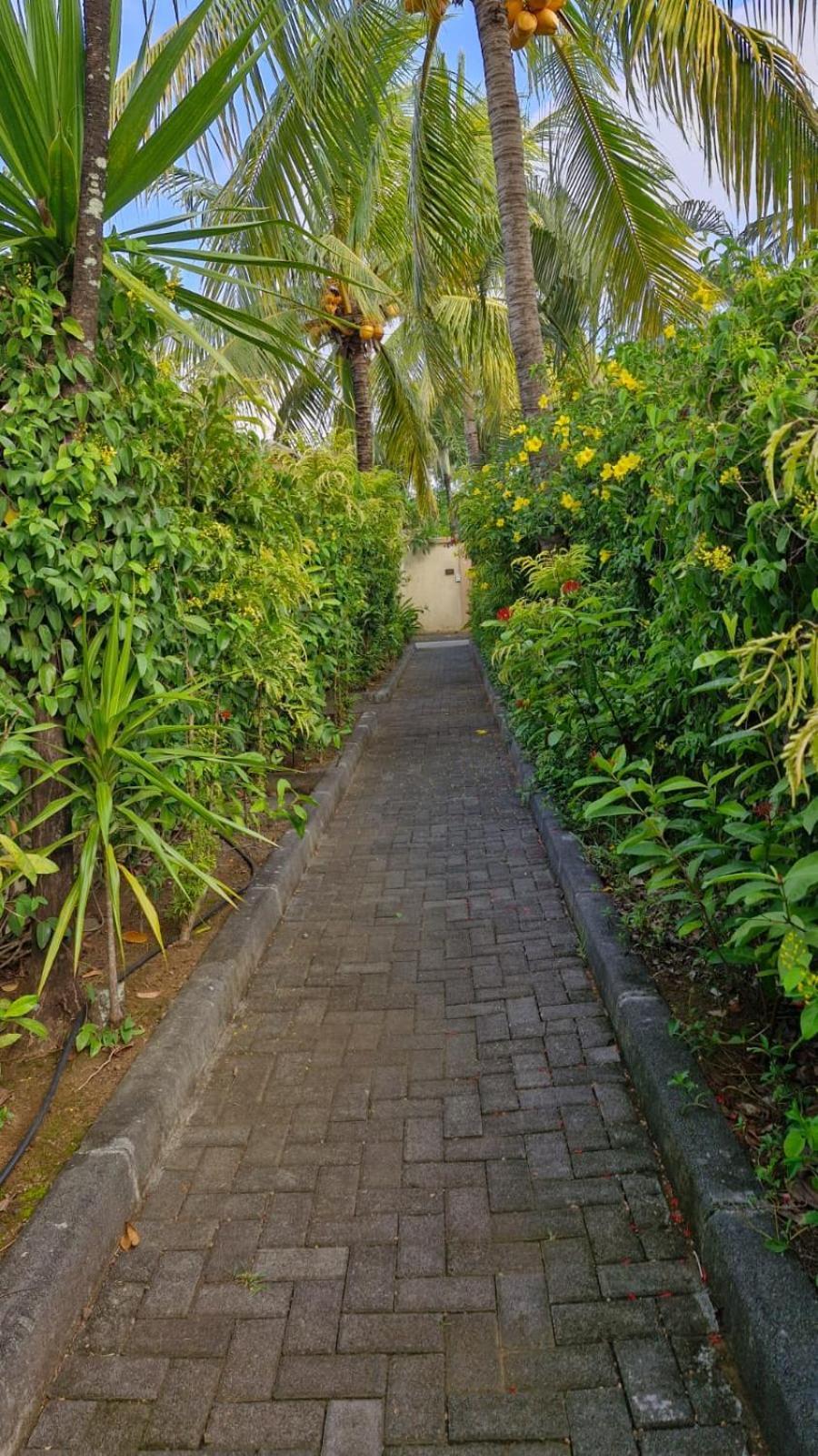 Oasis 1 Villa Tropicale Grand Baie Extérieur photo